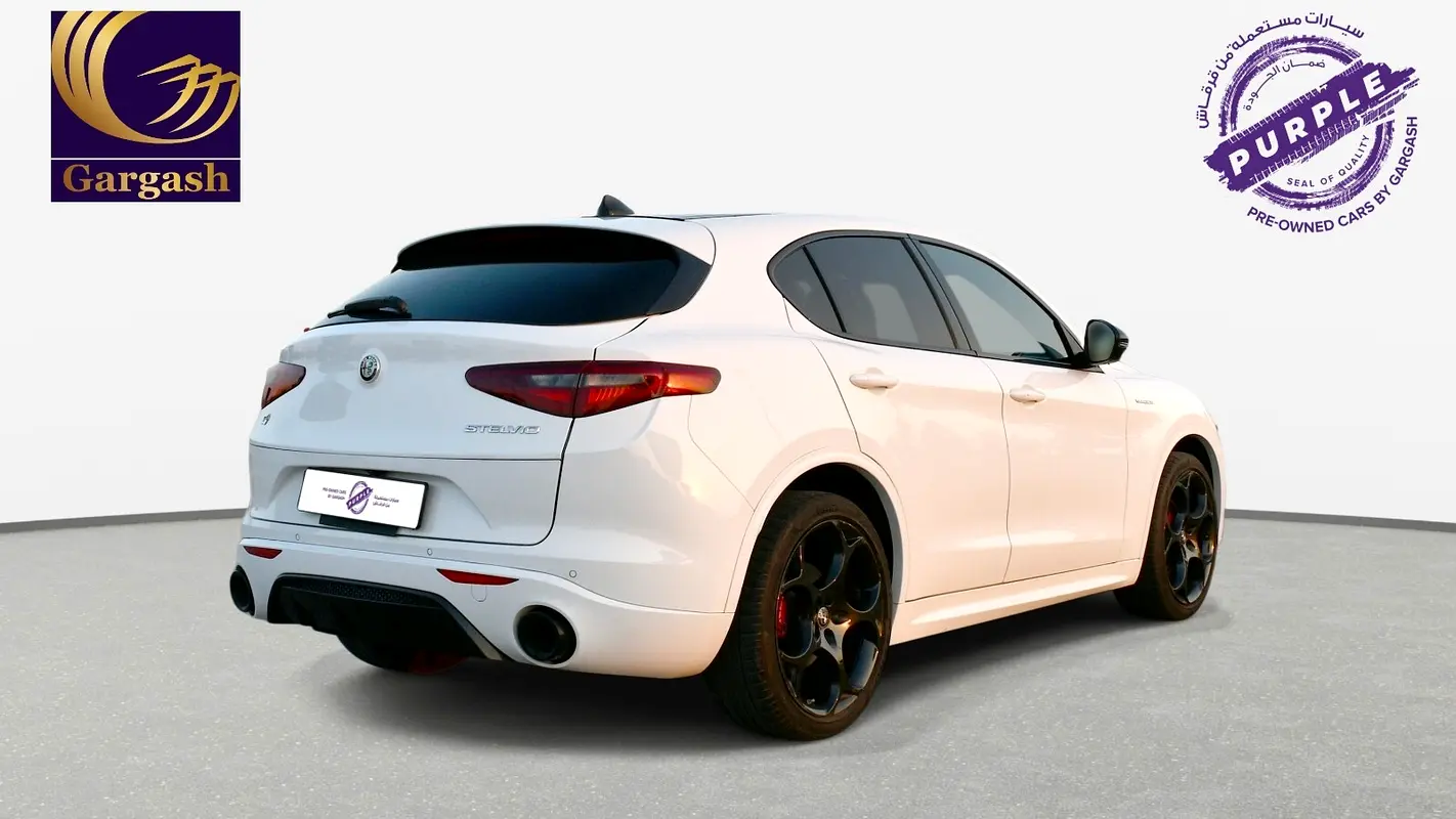 Alfa Romeo Stelvio, 2023 — фото 8 из 10