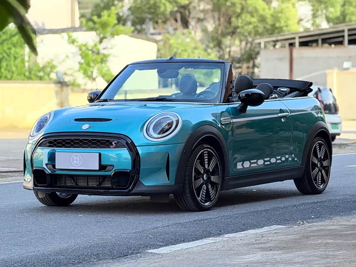 Mini Mini, 2023 — купить в Саратове под ключ