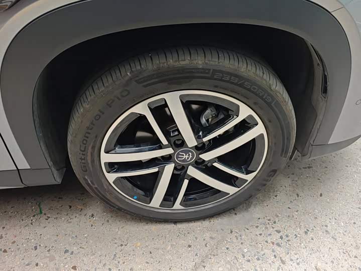 BYD Song L DM-i Hybrid, 2024 — фото 6 из 9
