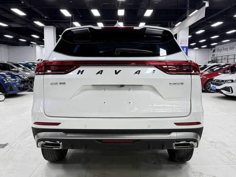 Haval H6, 2022 — фото 5 из 12