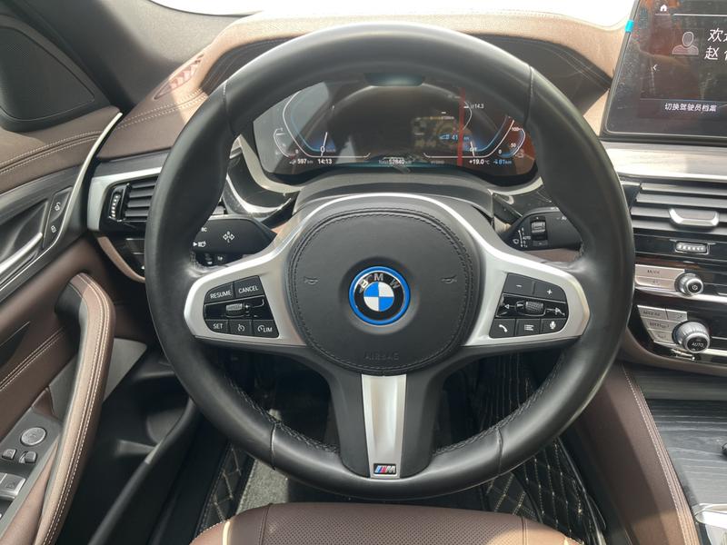 BMW 5 Series Hybrid, 2021 — фото 10 из 12
