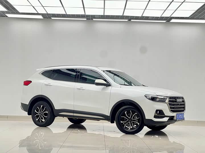 Haval H6, 2023 — фото 2 из 9
