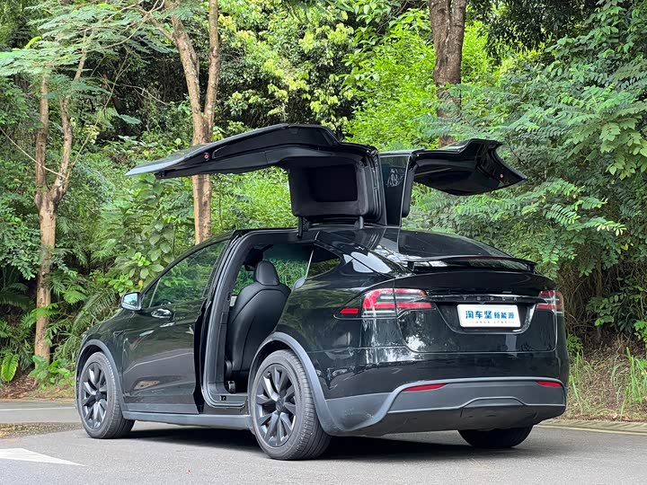 Tesla Model X, 2023 — фото 3 из 9