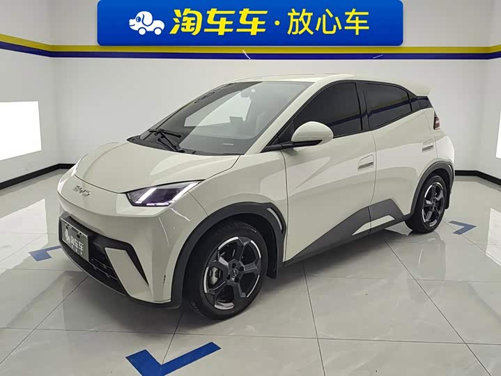 BYD Seagull, 2023 — купить в Санкт-Петербурге под ключ