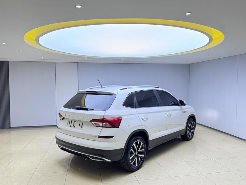 Skoda Kamiq, 2023 — фото 6 из 12