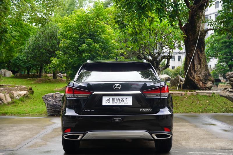 Lexus RX, 2022 — фото 6 из 12