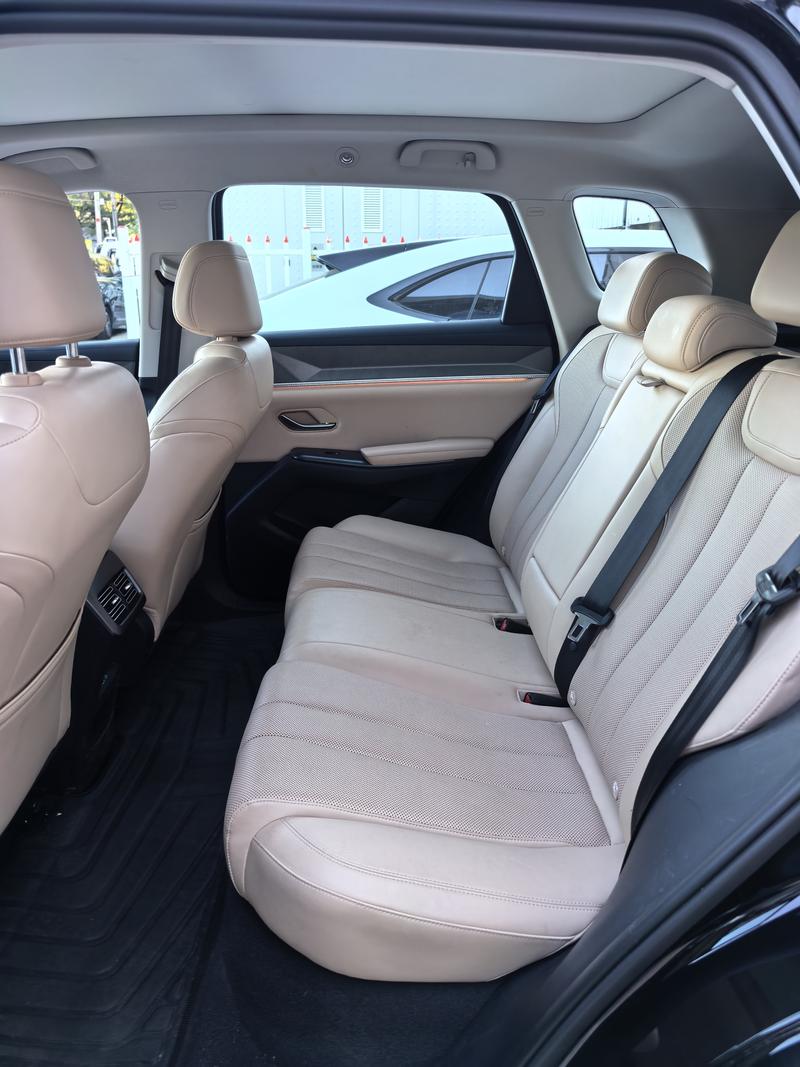 BYD Song Pro Hybrid, 2024 — фото 11 из 12