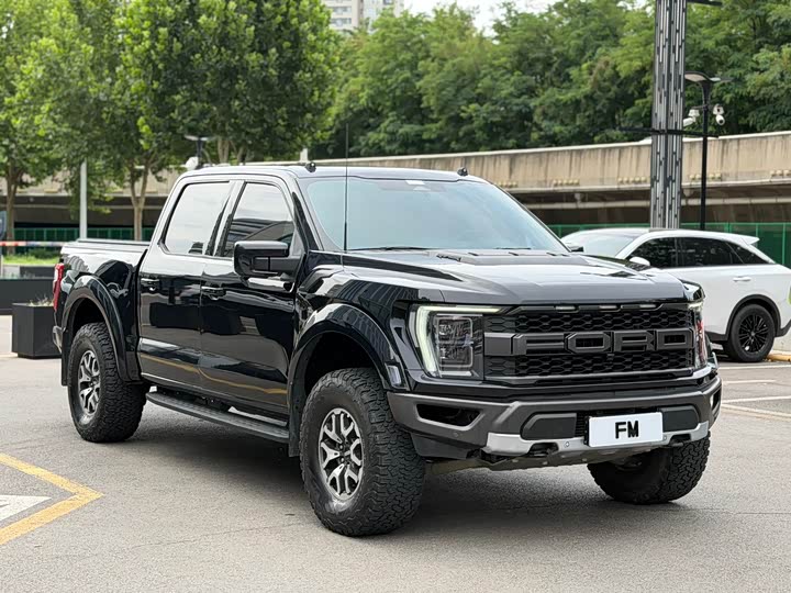 Ford F-150 Raptor, 2022 — фото 3 из 9