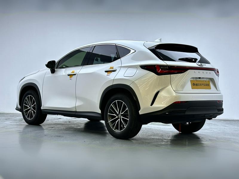 Lexus NX, 2023 — фото 5 из 12