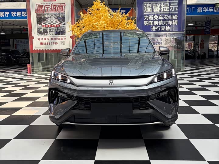BYD Song Pro Hybrid, 2026 — фото 2 из 9