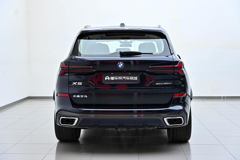 BMW X5, 2025 — фото 6 из 12