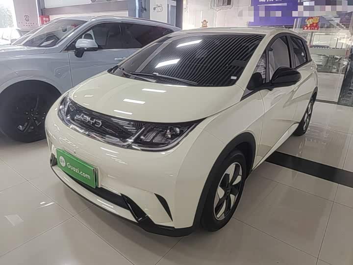 BYD Dolphin, 2025 — фото 2 из 9