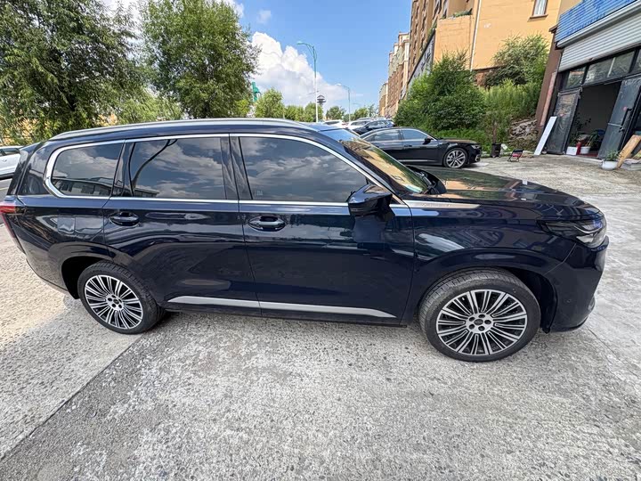 Exeed VX C-DM Hybrid, 2025 — фото 4 из 7