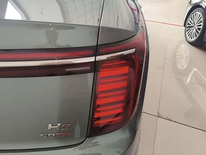 Hongqi H9, 2024 — фото 8 из 9