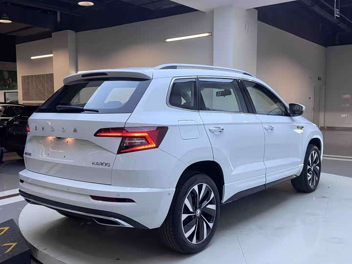 Skoda Karoq, 2025 — фото 6 из 9