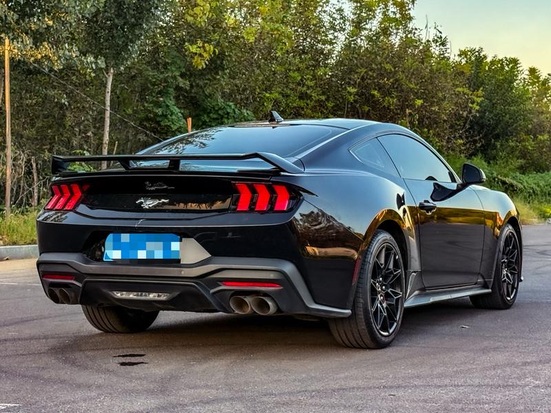 Ford Mustang, 2024 — фото 6 из 8