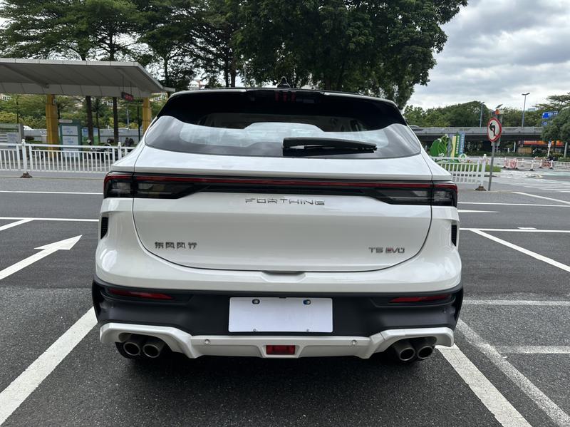 Dongfeng Forthing T5 EVO, 2024 — фото 6 из 12