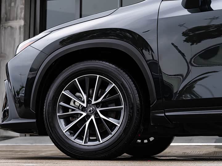 Lexus NX, 2024 — фото 8 из 9