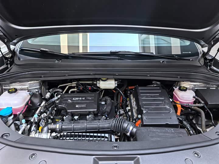BYD Song L DM-i Hybrid, 2024 — фото 7 из 9