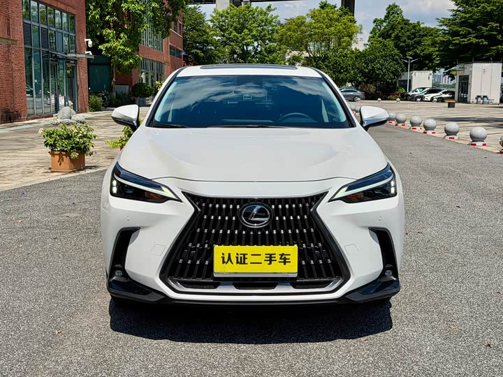 Lexus NX, 2024 — фото 8 из 9