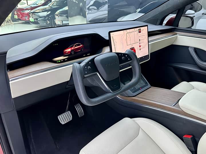 Tesla Model X, 2023 — фото 8 из 9