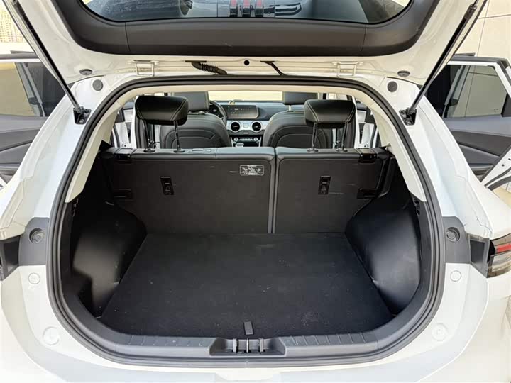 Dongfeng Forthing T5 EVO, 2023 — фото 9 из 9
