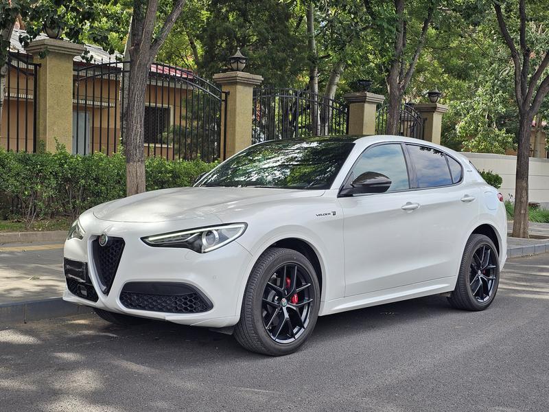Alfa Romeo Stelvio, 2022 — купить в Иванове под ключ