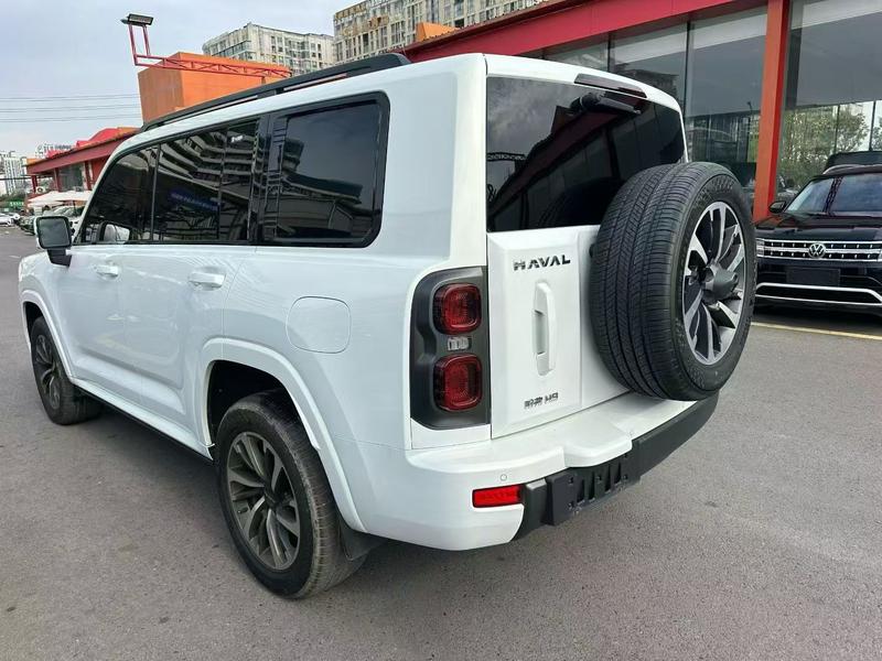 Haval H9, 2024 — фото 4 из 10