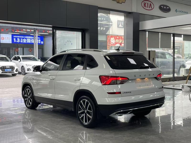 Skoda Kamiq, 2023 — фото 4 из 12