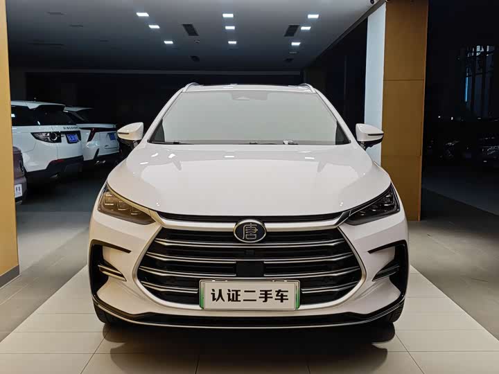 BYD Tang Hybrid/EV, 2023 — фото 4 из 9