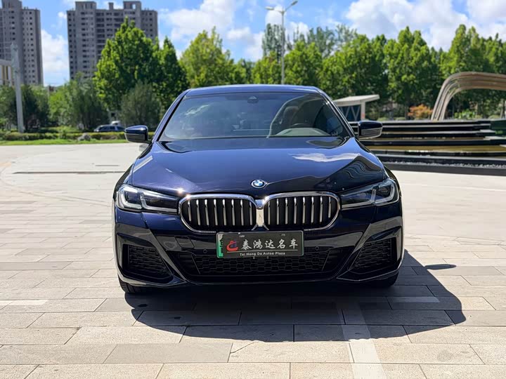 BMW 5 Series Hybrid, 2023 — фото 2 из 9