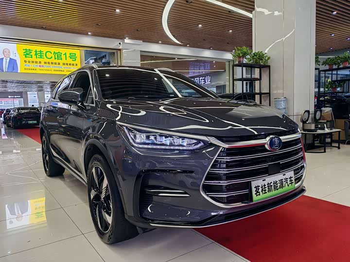 BYD Tang Hybrid/EV, 2023 — фото 3 из 9