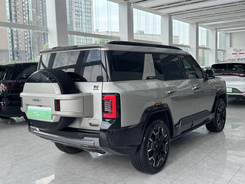 BYD FangChengBao Leopard 8, 2024 — фото 6 из 12