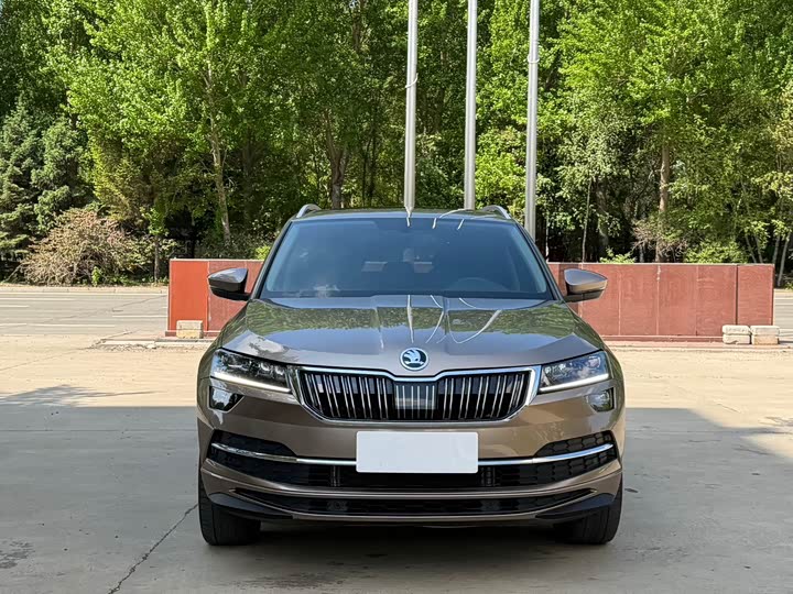 Skoda Karoq, 2022 — фото 2 из 9
