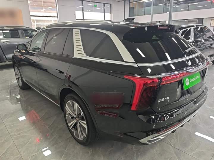 Hongqi E-HS9, 2023 — фото 5 из 9