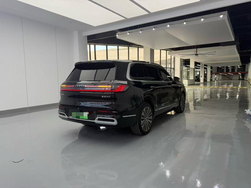 Geely Galaxy M9, 2025 — фото 6 из 11