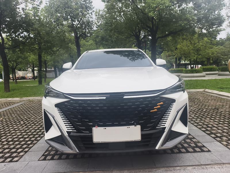 Changan Oshan X5 Plus, 2023 — фото 2 из 12