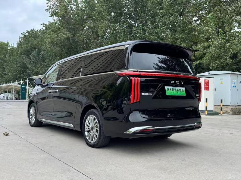 Wey 80 Hybrid, 2025 — фото 4 из 12