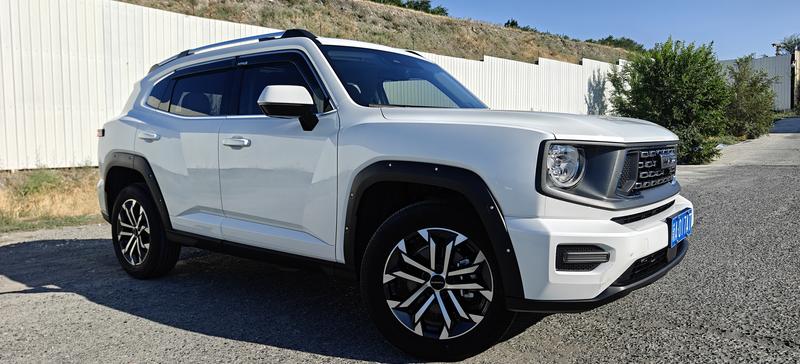 Haval H-Dog, 2025 — фото 3 из 12