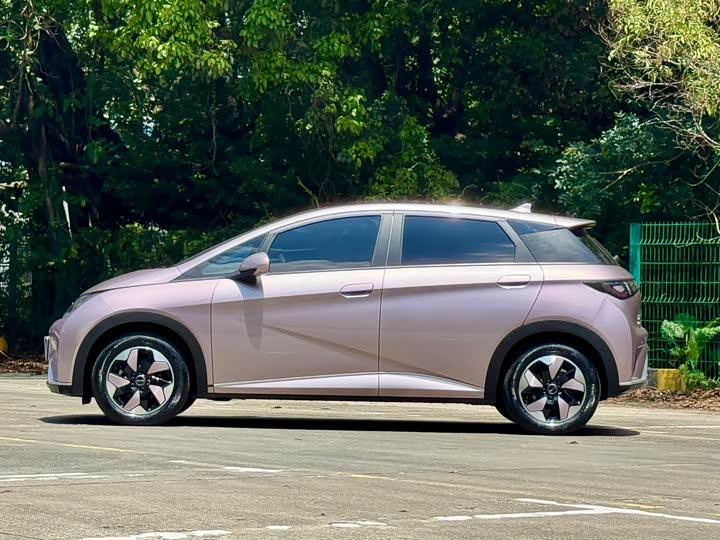 BYD Dolphin, 2024 — фото 4 из 9
