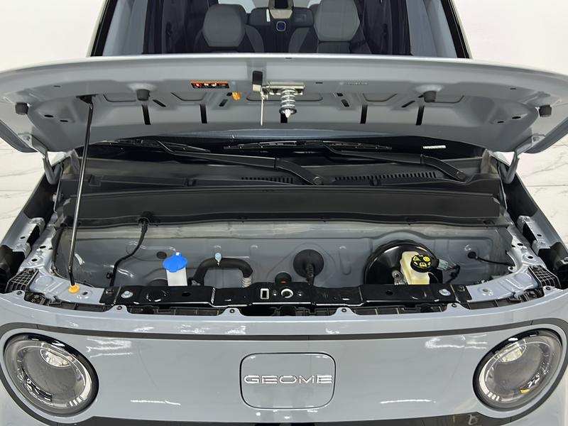 Geely Galaxy Panda Mini, 2025 — фото 12 из 12