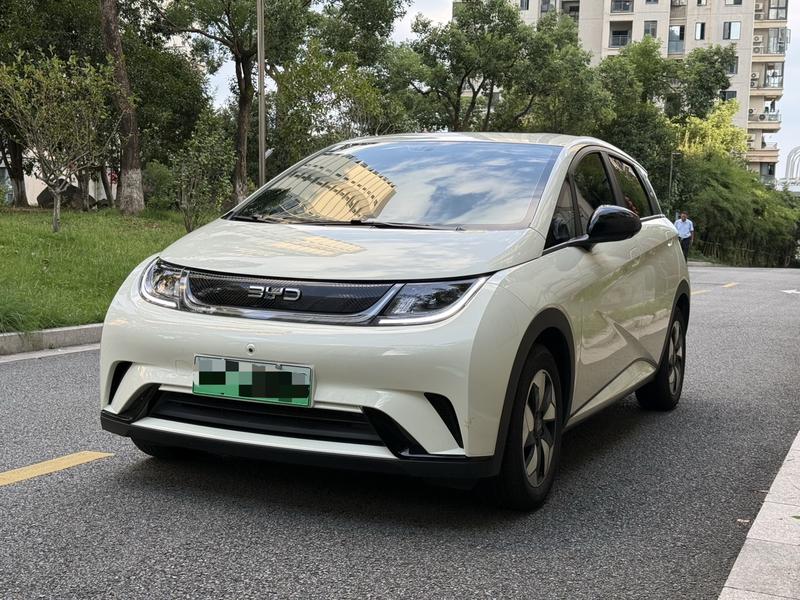 BYD Dolphin, 2025 — купить в Саранске под ключ