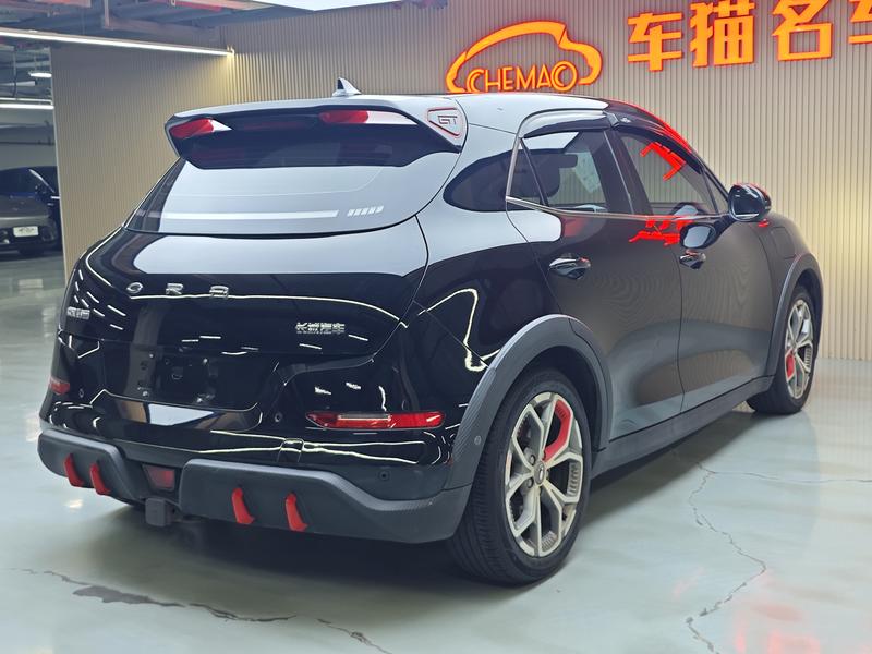 Ora Good Cat GT (03 GT), 2021 — фото 7 из 12