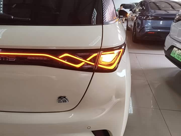 BYD Dolphin, 2023 — фото 8 из 9