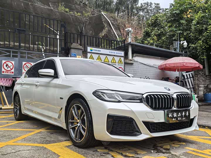 BMW 5 Series Hybrid, 2022 — фото 5 из 9