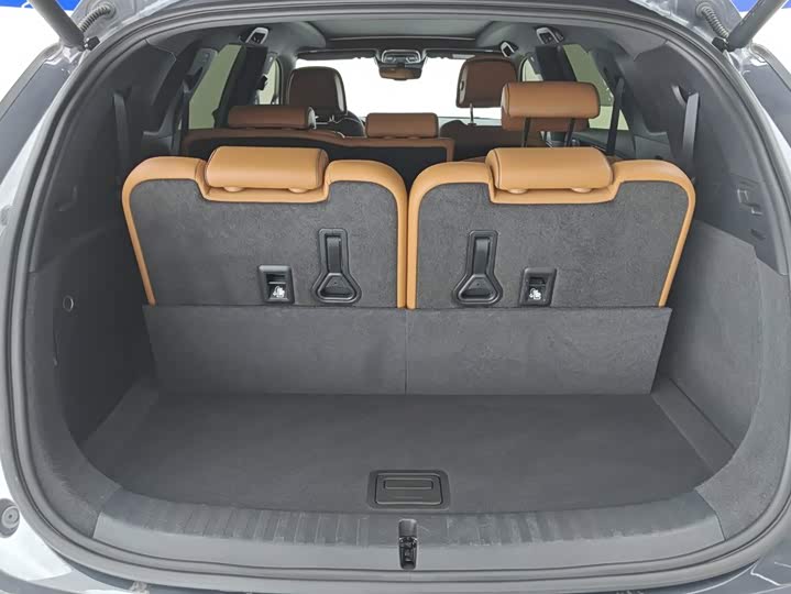 BYD Tang Hybrid/EV, 2023 — фото 4 из 9