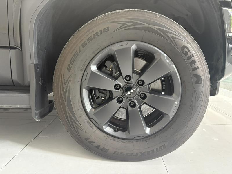 BYD FangChengBao Leopard 5, 2025 — фото 8 из 12