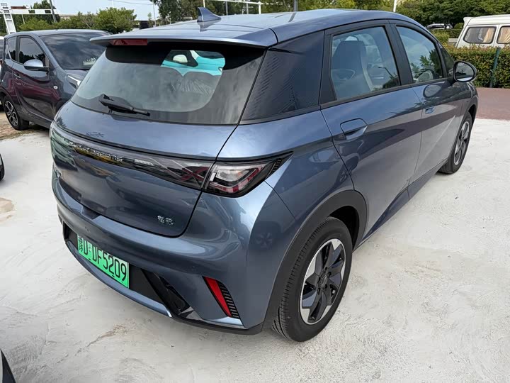 BYD Dolphin, 2026 — фото 8 из 9