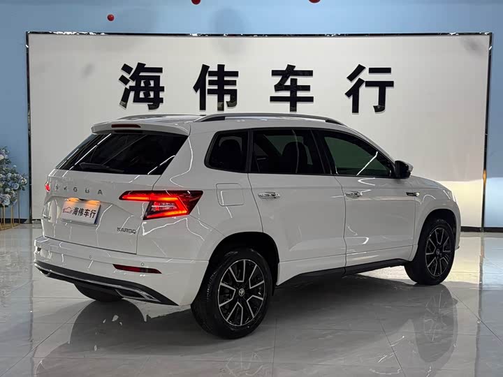 Skoda Karoq, 2022 — фото 8 из 9