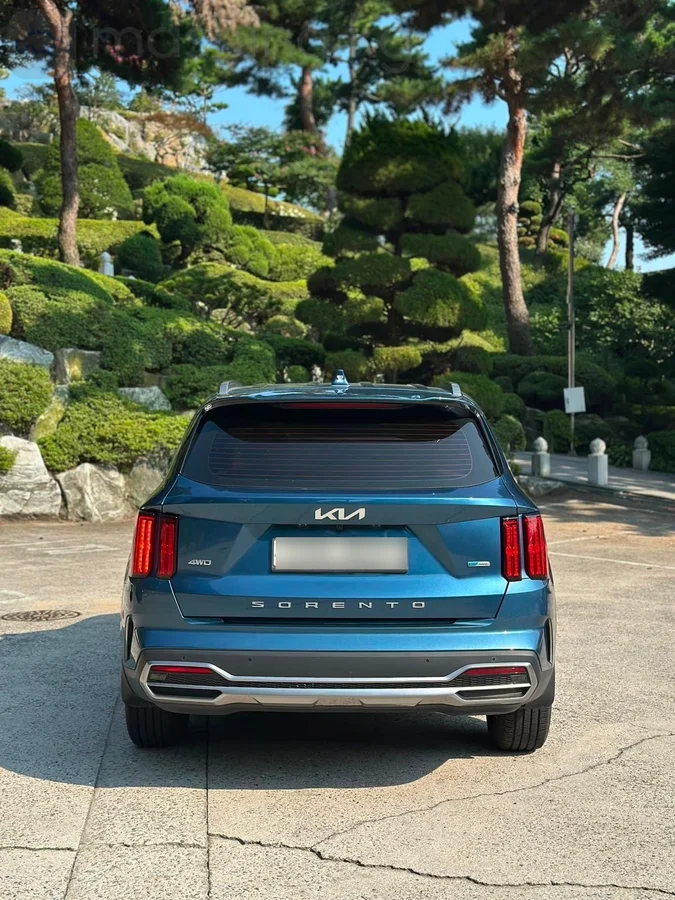 Kia Sorento, 2022 — фото 3 из 12